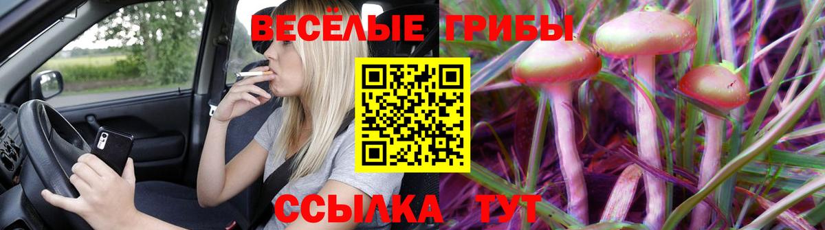 Псилоцибиновые грибы прущие грибы  Псилоцибиновые грибы MAGIC MUSHROOMS  Кингисепп  Вход с VPN 